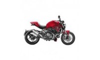 Achetez Carénage Ducati Monster 1100 2008-2012