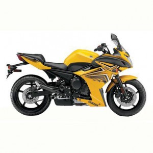 Achetez Carénage Yamaha FZ6R