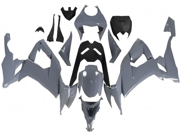 Carénages Moto Kawasaki ZX10R 2008-2010 - Nardo Gris