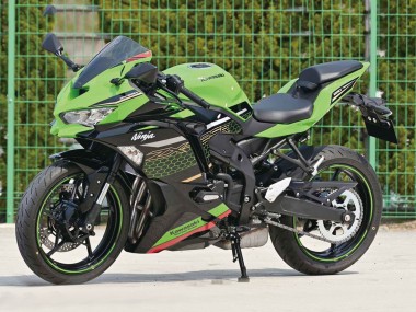 Achetez Carénages Moto Kawasaki ZX25R ZX-25R 2019-2025 - Vert Noir Rouge Rayon de Miel