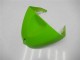 Carénages Moto Kawasaki ZX6R 2005-2006 - Vert Noir Brillant Elf