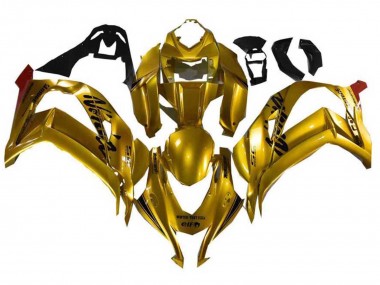 Achetez Carénages Moto Kawasaki ZX10R 2021-2025 - Or Noir