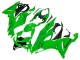 Carénages Moto Kawasaki ZX6R 2019-2022 - Vert