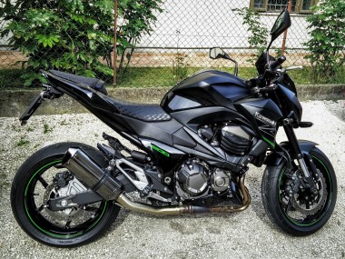 Achetez Carénages Moto Kawasaki Z1000 2014-2019 - Noir Vert