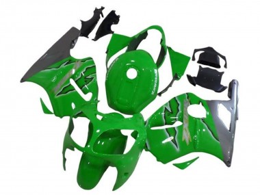 Achetez Carénages Moto Kawasaki ZX12R 2002-2006 - Vert Argent